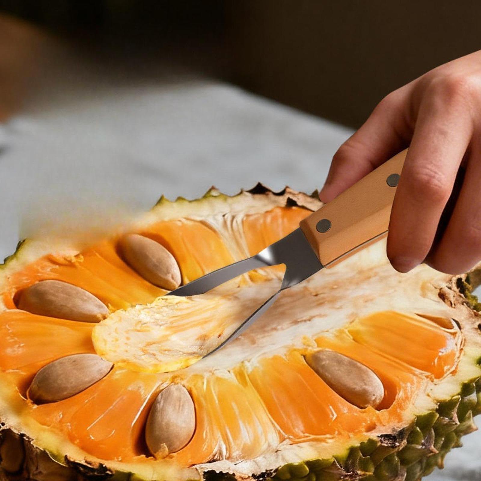 Jackfruit Corer Remover,Portab - Kitchen Gadgets Store recension och pris