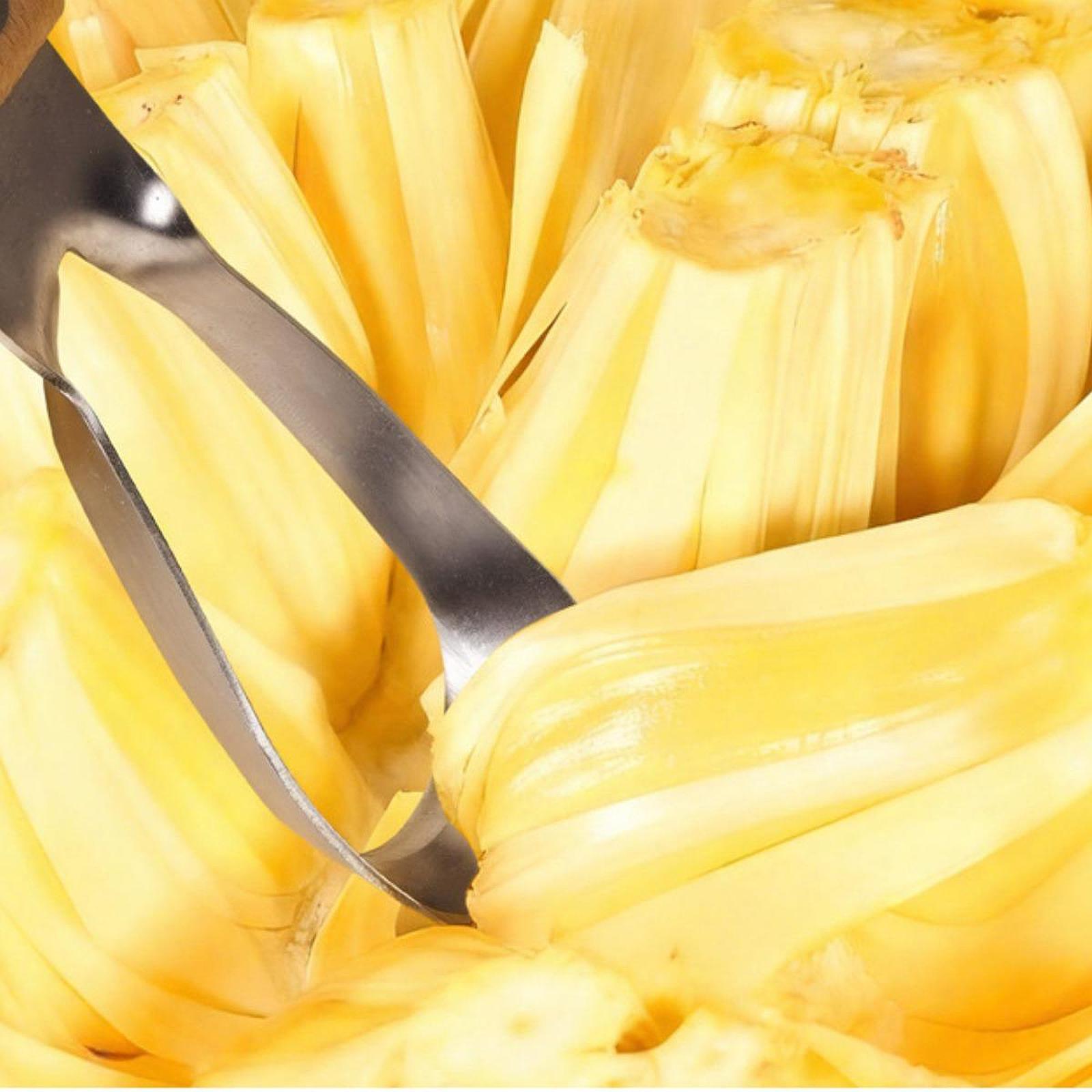 Jackfruit Corer Remover,Portab - Kitchen Gadgets Store recension och pris